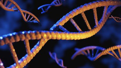 an illustration of DNA